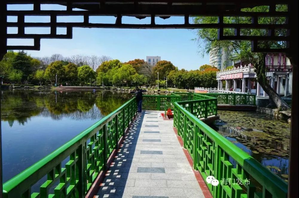 花儿吐艳,柳枝婀娜, 碧水传情…… 海门处处芳菲浸染~ 东洲公园 着