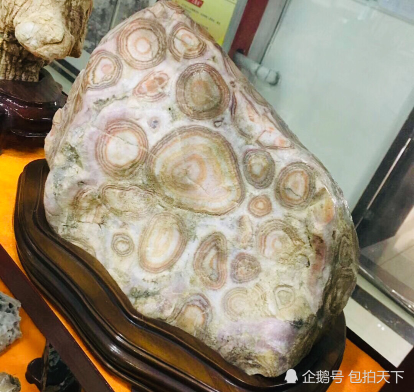 奇石,金钱石,古币
