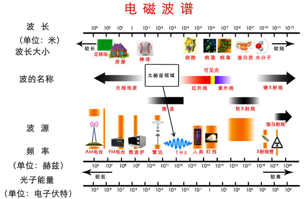 新型冠状病毒,新冠病毒,5g,无线电波,电磁波