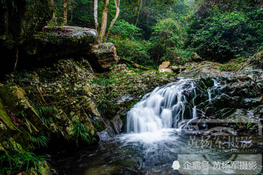 山谷间树木葱翠泉水飞奔,形成的流水景观很动人.