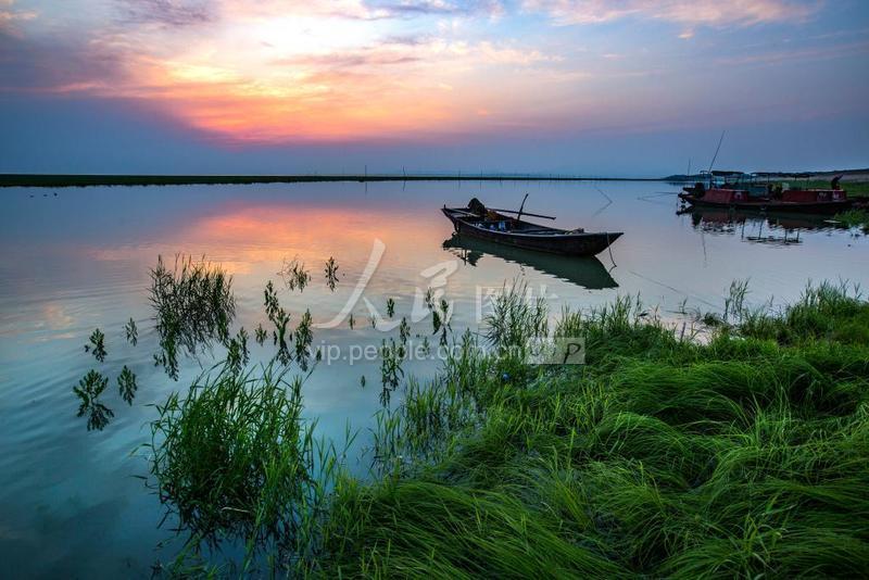 江西鄱阳湖:大美湿地 春光旖旎