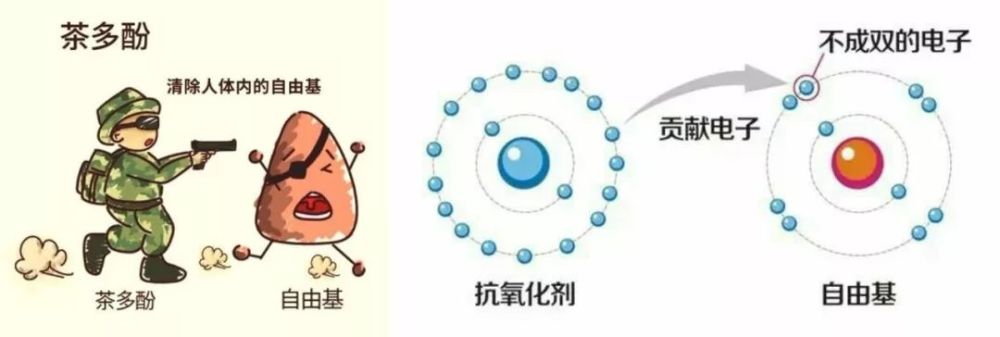 如何清除自由基?