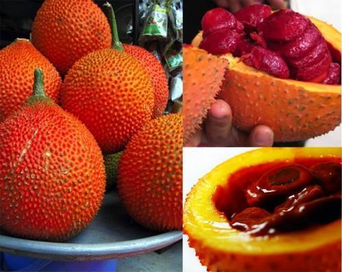 史上最全的30种热带奇特水果,好多人都没见过