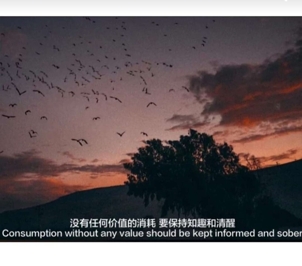 "心酸到爆"的走心文案:我还没来得及炫耀你,你就已经不是我的了