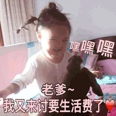 搞笑表情包:讨生活费的表情包合集