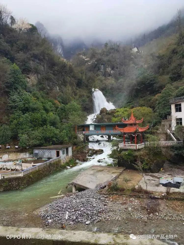 龙山县茨岩塘镇樱桃花盛开-漫步樱花谷