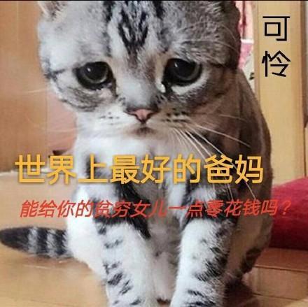 要钱表情包合集,我想吃火锅!