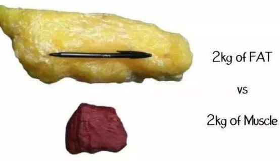 增肌是先吃胖,然后把脂肪练成肌肉?