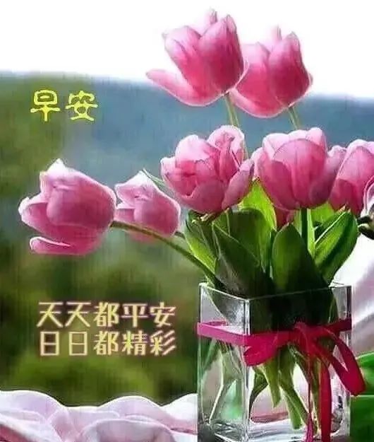 微信朋友圈早晨问候语图片带字 早晨好问候语录送给你