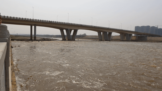 大桥 桥 桥梁 560_315 gif 动态图 动图