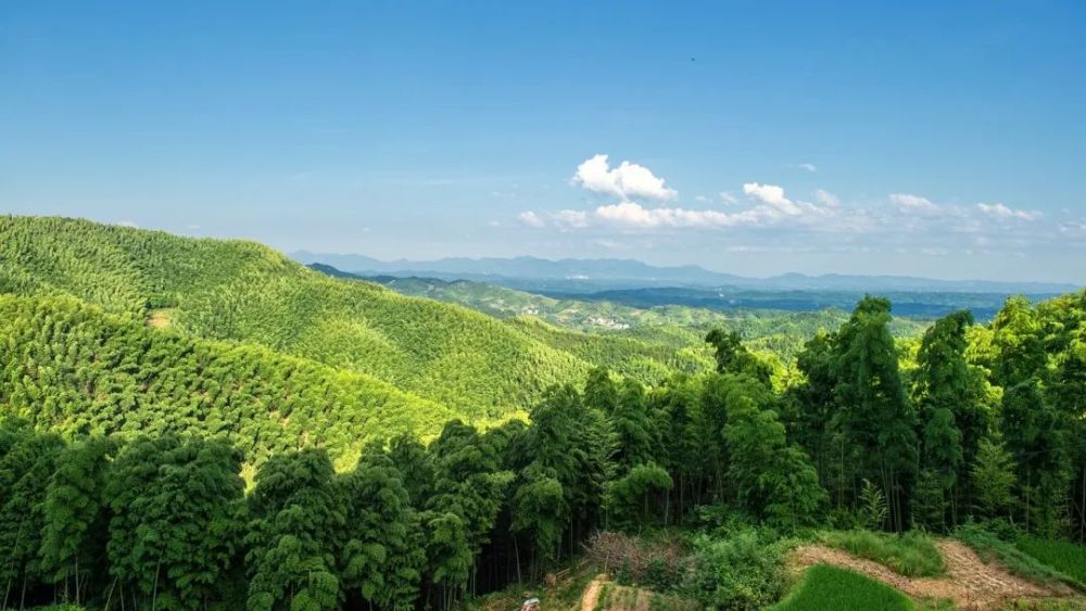 省级地质公园,以"丹霞盆景"方式构筑了一幅丹霞地貌的立体全景图