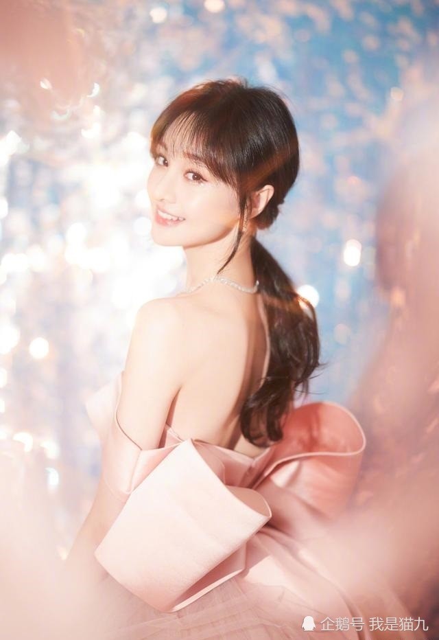 郑爽,明星