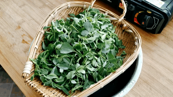 (1)草头摘掉老根和黄叶,只留取顶上的叶子即可,放在盆中.