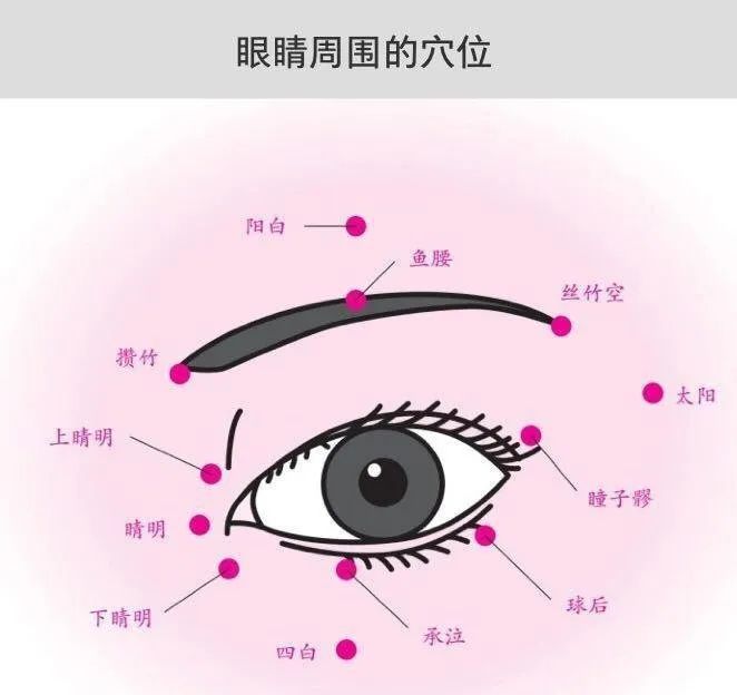 眶下缘外1/4与3/4交界处, 承泣位于眼球与眶下缘之间, 四白位于眶下孔