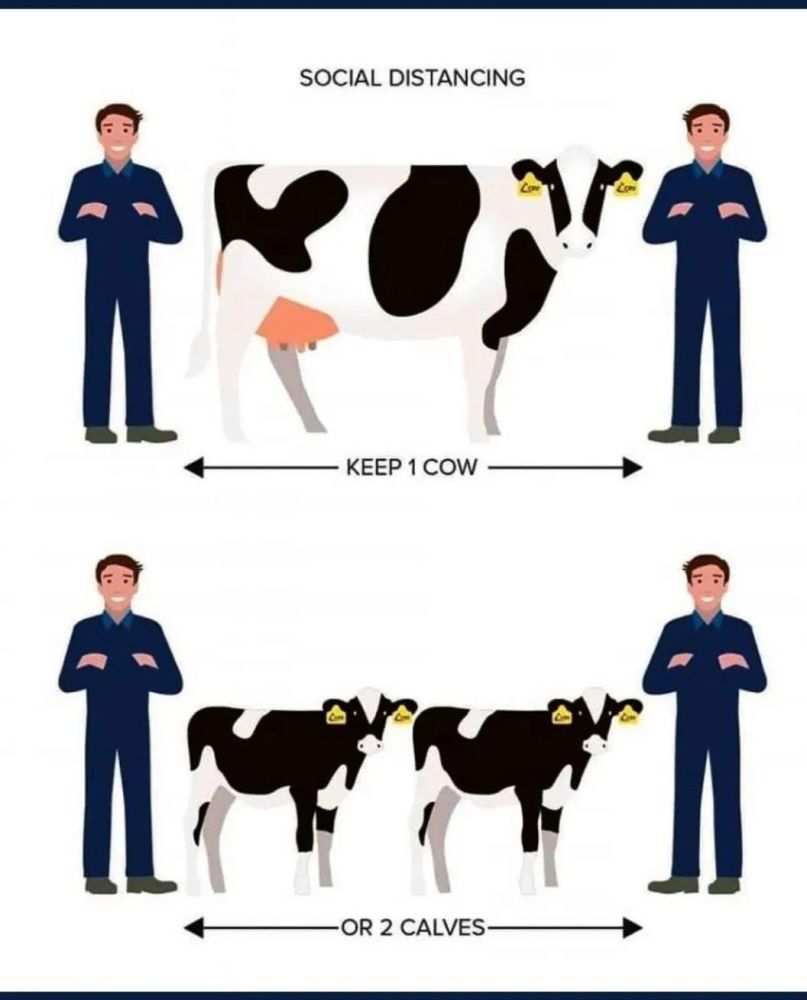 疫情:假如social distancing成为常态