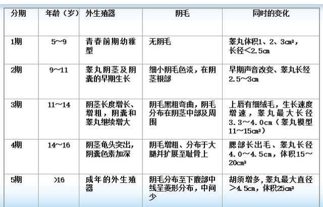 男孩性发育首先表现为睾丸容积增大(>4ml标志青春期开始),继而出现