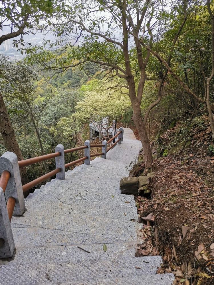 西山游步道,遗址,湘湖,栈道