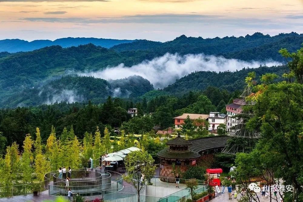 乡村旅游,雅安,碧峰峡,上里古镇,蒙顶山,荥经县