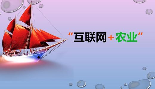 互联网 农业自媒体