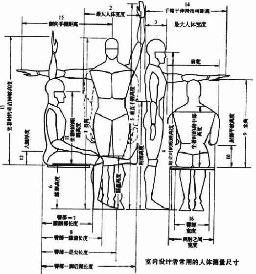 人体尺寸的比例关系