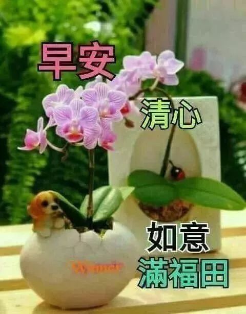 周四温馨早上好图片 2020最新版带字带祝福语