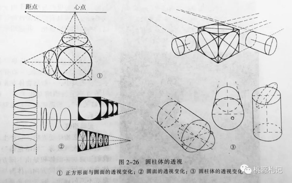 (2)圆柱体的透视变化.