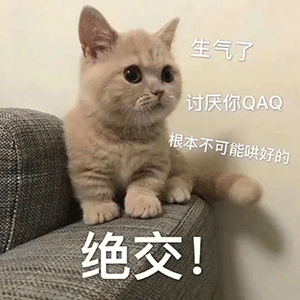 表情包小老弟你怎么回事