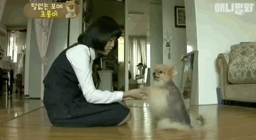 主人:挺秃然的