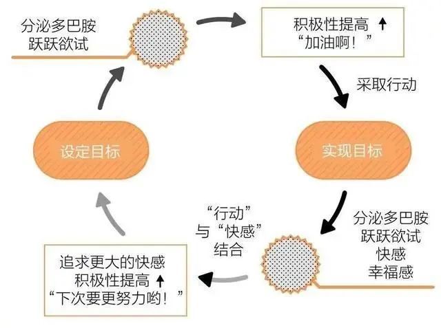 多巴胺,酪氨酸,帕金森病,左旋多巴