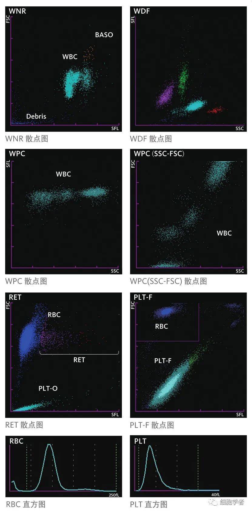 细胞,散点图,白细胞,血小板