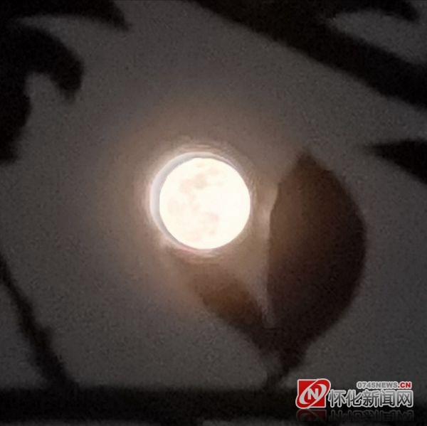 怀化新闻网讯  4月8日晚,超级月亮再现夜空.许多怀化市民户外赏月.