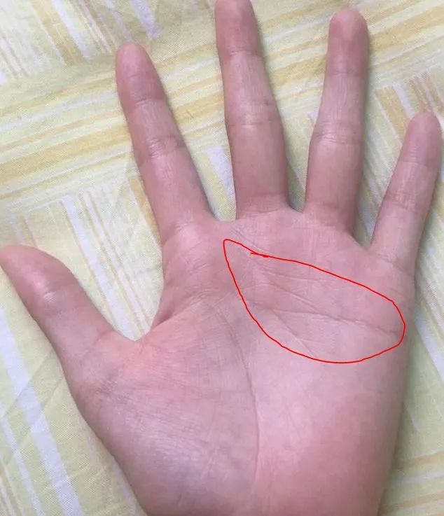 延伸到中指之下的感情线,性格成熟稳重开朗大方,婚后幸福