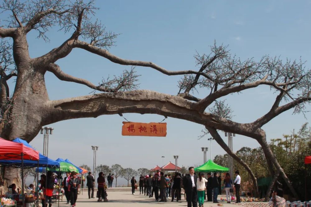 西乡县,汉中,午子山,樱桃沟,茶园,十里村