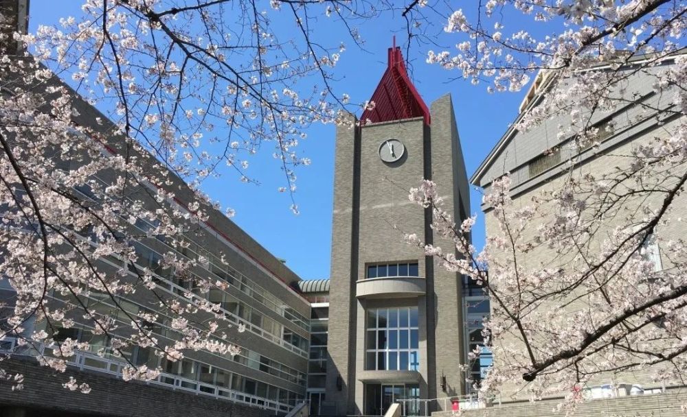 大学,日本_教育,关西学院大学,关西地区,早稻田大学