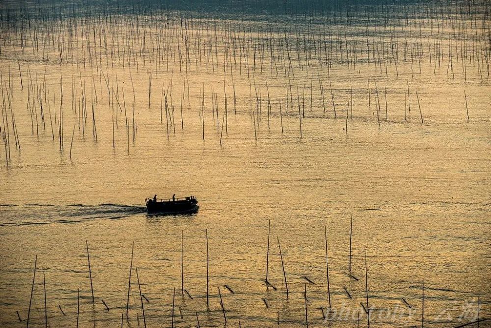 福建霞浦,北岐滩涂,早晨