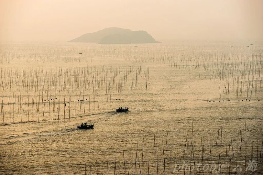 福建霞浦,北岐滩涂,早晨