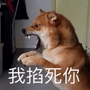 300_300gif 动态图 动图