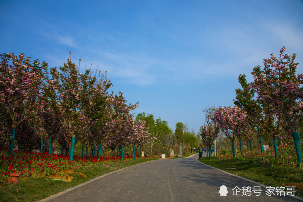 西安旅游,长安公园,西安休闲,超大公园,生态公园
