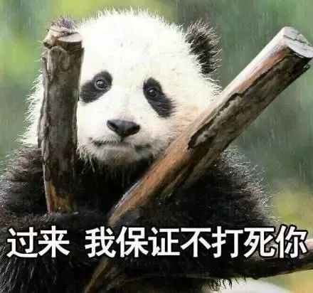 搞笑一波大熊猫表情包,我活得好悲伤 我坐在地上拉肖邦