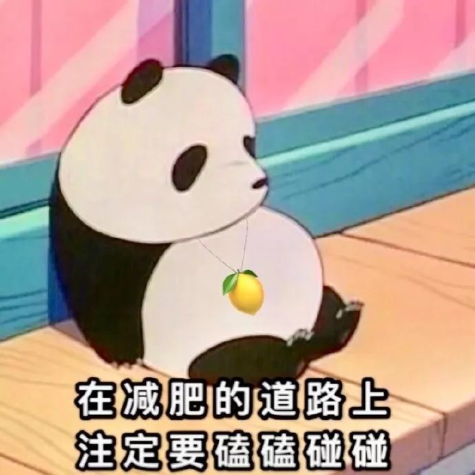 3表情包在减肥的道路上注定要磕磕碰碰