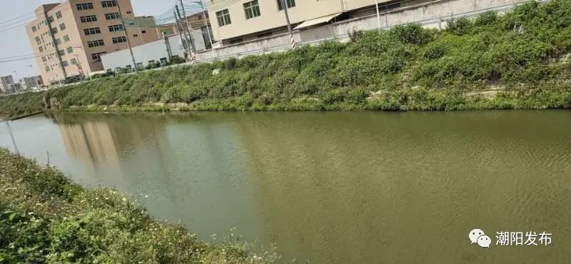 和平镇4条练江重要支流完成整治,江面波光粼粼