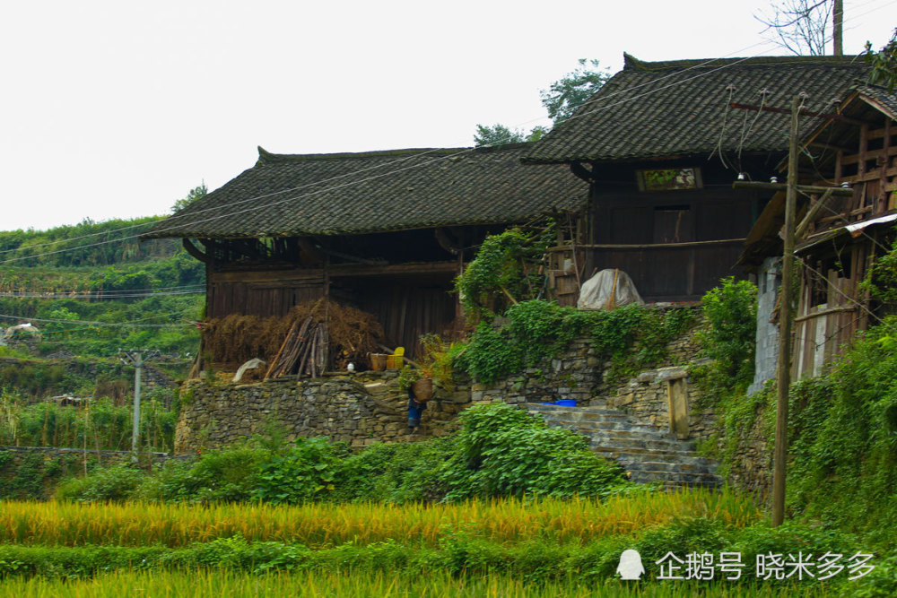 苗族,土家族,建筑,湘西,籽蹬屋