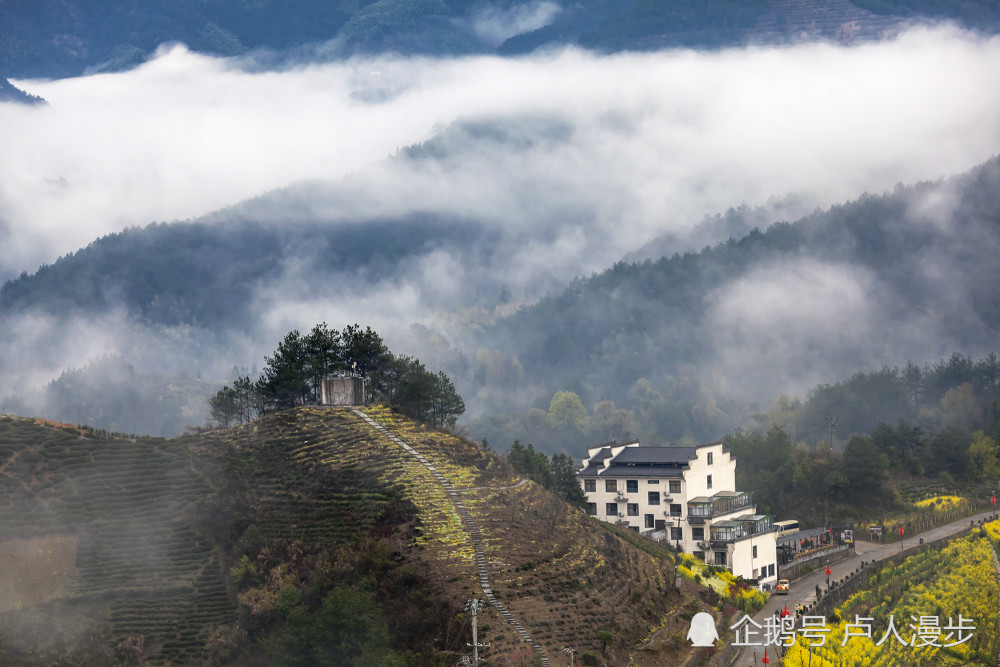 春天赏花踏青去哪里?黄山市歙县坡山村壮观的云海云雾