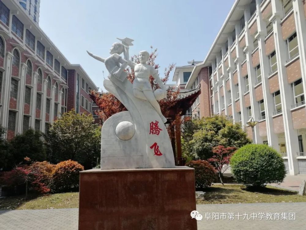 春天的十九中校园,等你归来!