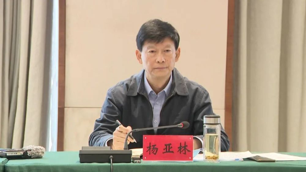 市委书记 杨亚林