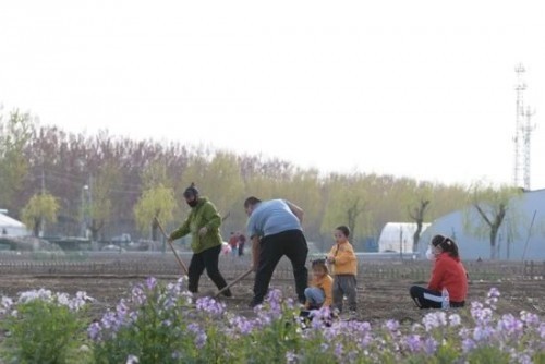 农场,大爱城,崇明岛