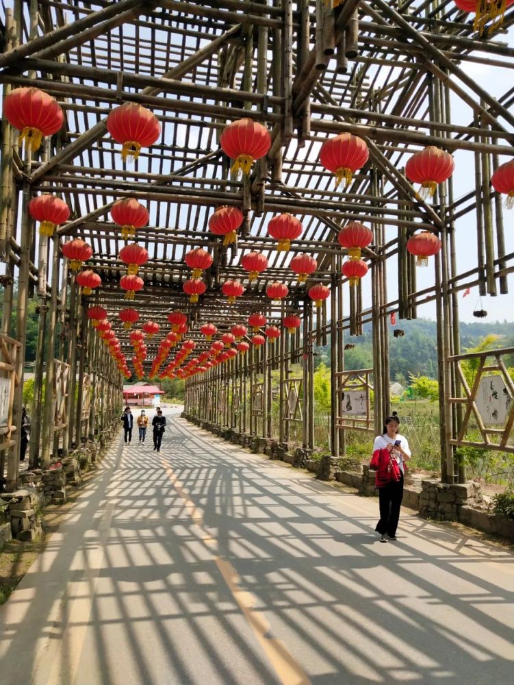 八方客,乡村旅游,万寿村,巴中,农家,龚仲金