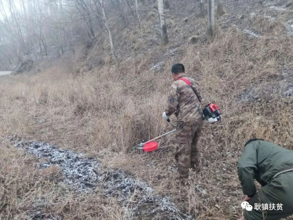 耿镇建立森林防火隔离带!