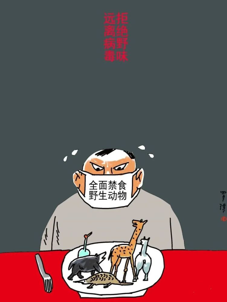 《拒绝野味远离病毒》漫画罗琪