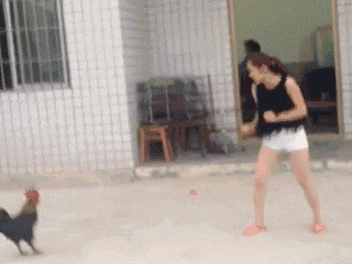 gif搞笑趣图:兄弟,不要放手!危险